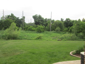 View From back